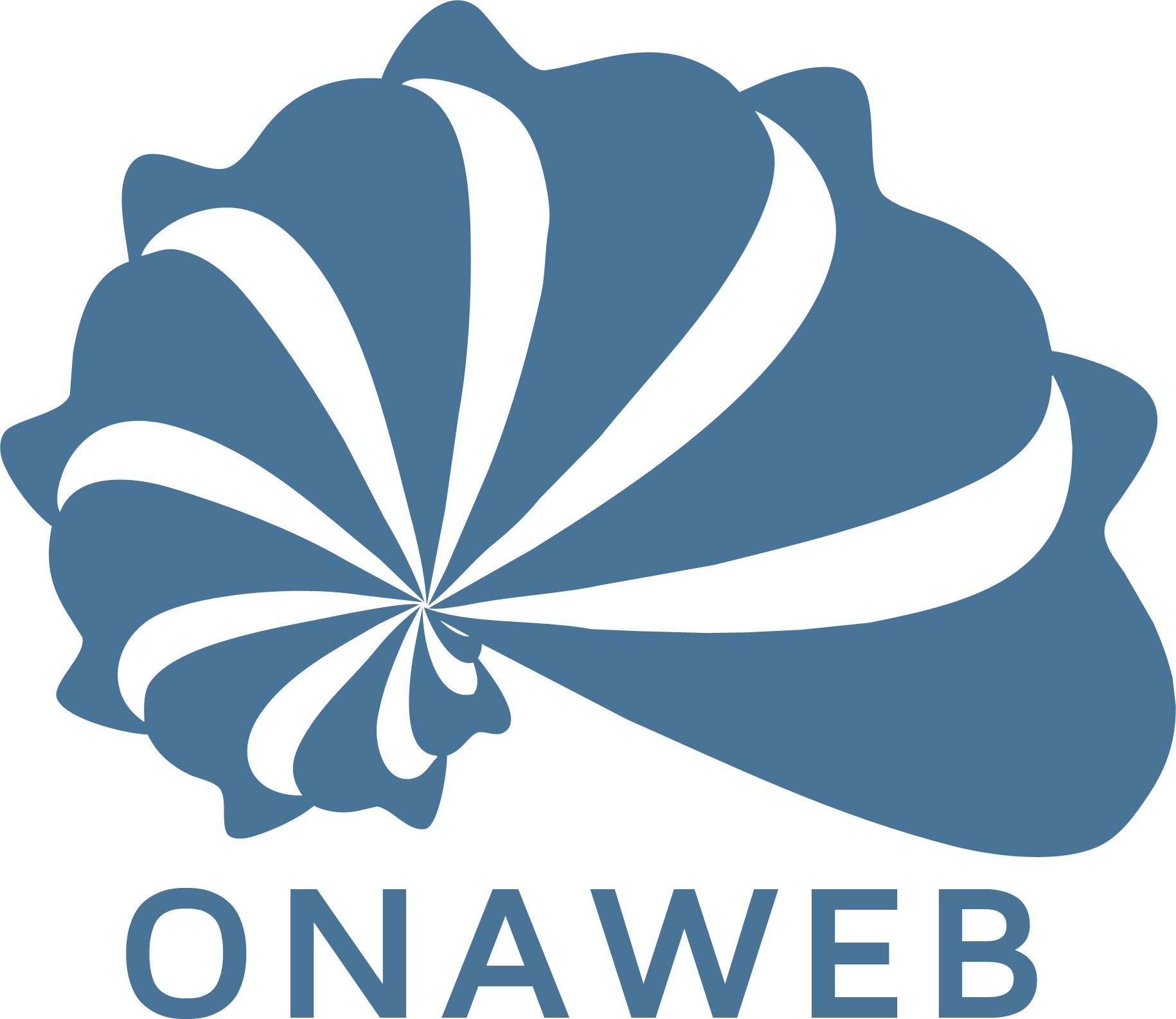 logo onaweb